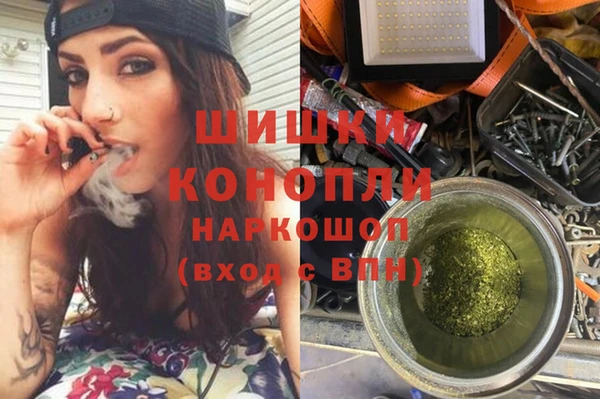 гашик Аркадак