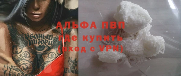 гашик Аркадак